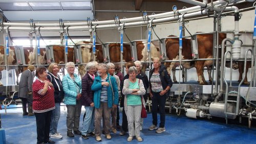 Eschacher LandFrauen mitten im Melkkarusell dem Zentrum der Milchwirtschaft.